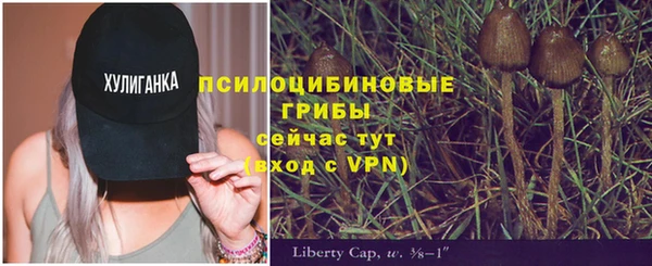 кристаллы Сатка