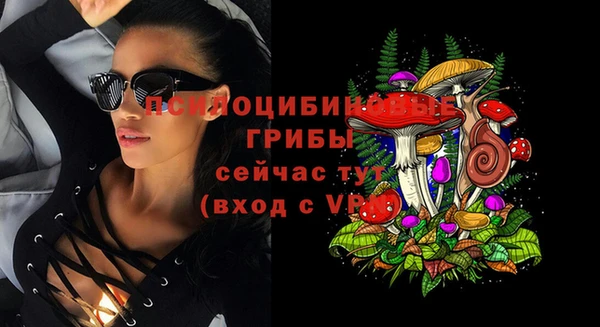 шишки Абдулино