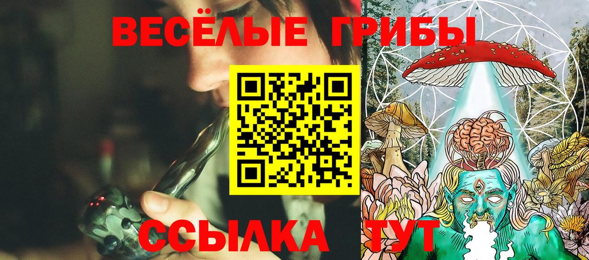 Псилоцибиновые грибы Psilocybine cubensis  Вход с VPN  Донской  сколько стоит  Галлюциногенные грибы мицелий 